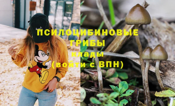 марки nbome Арсеньев