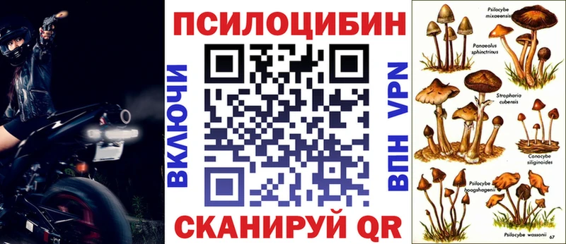 Псилоцибиновые грибы прущие грибы Геленджик